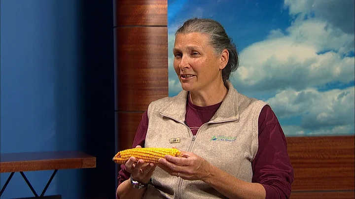 Eye on Education | Maria Farris, Illinois Agricult...