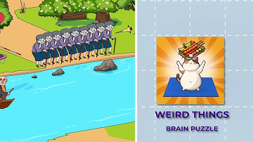 Weird Things Brain Puzzle Level 16 Cross The River