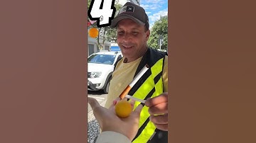 Social Experiment: What Will Homeless People Choose? The Answer Will Surprise You!