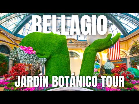 Video: Guía del Conservatorio de Bellagio & Jardín Botánico