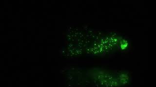 green smoke effect intro