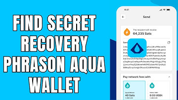 How to Find Secret Recovery Phrase on Aqua Wallet App 2025?