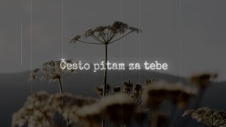 Crvena jabuka - Često pitam za tebe (Official lyric video)