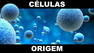 CÉLULAS ORIGEM