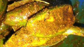 Parwal ka achar # PointedGourd Pickle Recipe for Pickle Lover's