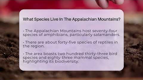 What Species Live In The Appalachian Mountains? - Ecosystem Essentials