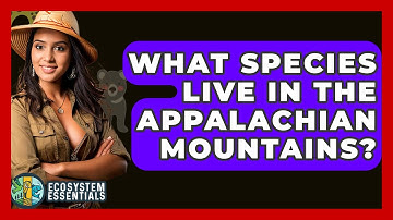 What Species Live In The Appalachian Mountains? - Ecosystem Essentials