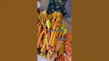 رقم في اليمن والشرق الاوسط العنوان صنعاء الحصبة سوق الرشيد للحجز الإستفسار 771603067 