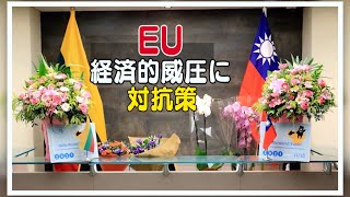 〈吹替版〉EU 経済的威圧への対抗策強化へ