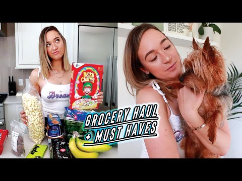 grocery-haul-+-must-haves-every-dog-owner-needs!