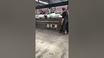 ZHUOMAO YOUPIN® hexagonal wire mesh