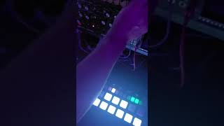 Techno With The Arturia  Beatstep Pro // Moog Dfam // Eowave Quadrantid Swarm // Ableton #Techno