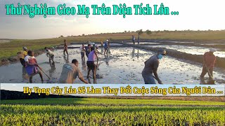 Thế Nhân || Tiến Hành Gieo Mạ ( Sạ Giống ) Thử Nghiệm Với Diện Tích Và Quy Mô khủng