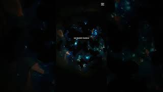 Sar Bedeni Bedene💐🦋