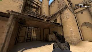 Fast USP Faceit Ace