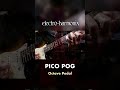 EHX Pico POG Octave Pedal Demo
