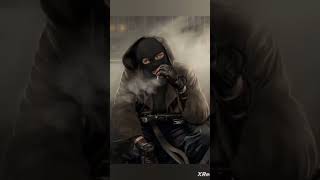 Stalker бандиты #stalker #stalker2 #stalkershorts #сталкер #зона #саркофаг #зовприпяти #чзо
