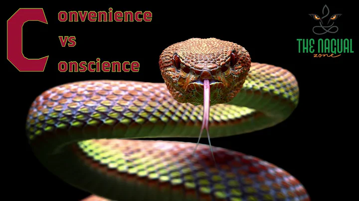 Convenience vs Conscience - Carlos Castaneda| Don ...