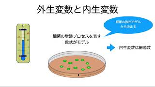 【マクロ経済学】005 経済学者はどのように考えるか