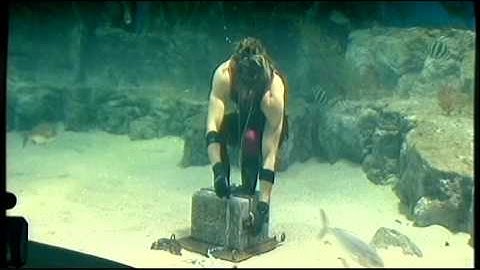 Anchored Ten News.mp4