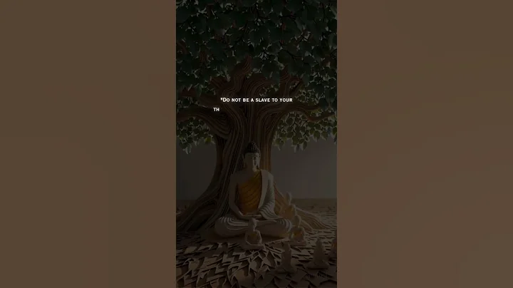 Buddha Quote You Must Hear Today! 2.10🎯 #Shorts #USA #buddha #zen