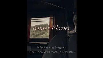 Winter flower🌸, RM and Younha, but your in a moving train*