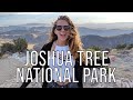 WILD WEATHER in Joshua Tree National Park - Van Life | Ep. 101