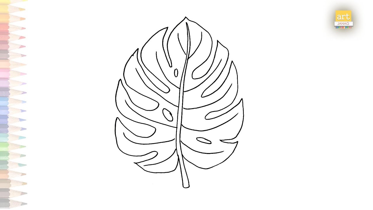 Simple leaf simple leaf drawing simple leaf outline, Twig, Plant Stem,  Petal, Flower, Herbaceous Plant, Line Art, Cut Flowers transparent  background PNG clipart | HiClipart