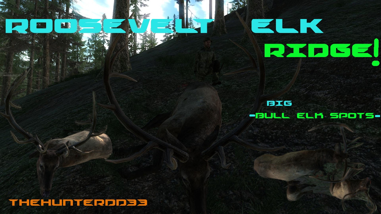 ROOSEVELT ELK RIDGE!! Bull Elk Locations THEHUNTER 2017 YouTube