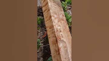 quilted maple, orcedar.com free shipping