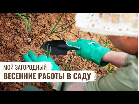 Весенние работы в саду // Мой Загородный / #29