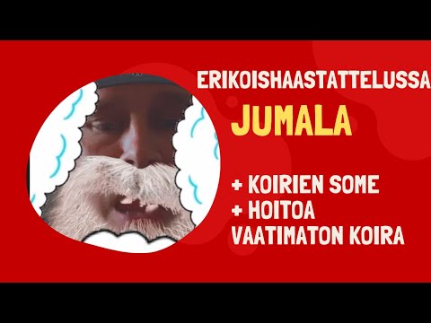 Video: Mikä On Vaatimattomin Lemmikki