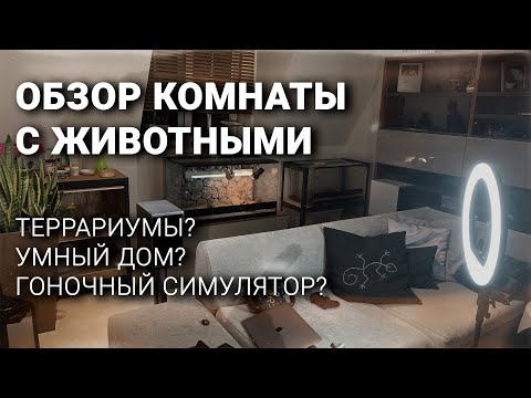 Новая комната питомцев | Мысли про умный дом