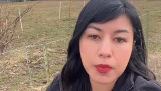 Fire destroys large barn north of Star