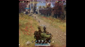 Narbash is a tank healer in Schmaragon.