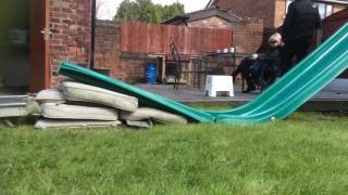 Mini mega in my garden