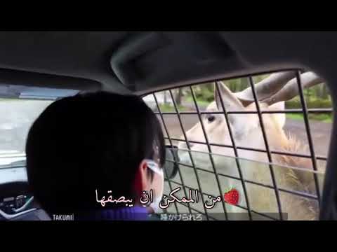 طريقة كلام كيغو اللطيفة 