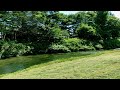 【碧と緑】清流に揺蕩う蝉のコーラス【夏の音】