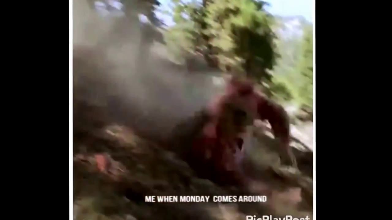 Me when Monday comes around