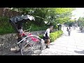 清水寺近くで人力車に乗ったよ❗