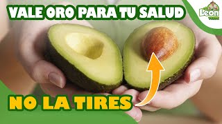 ¿Qué contiene el hueso de aguacate?