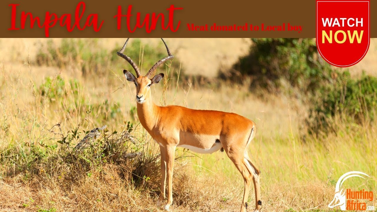 School donation with YouTube