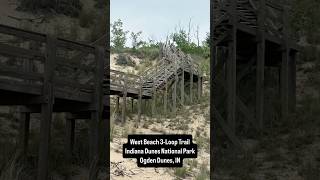 Hiking the West Beach 3-Loop Trail - Indiana Dunes National Park with Simba the Adventure Pup 🐾🌊