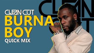 Burna Boy Quick Mix 2024