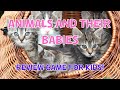 Animals And Their Babies | Review Quiz For Kids | 4K