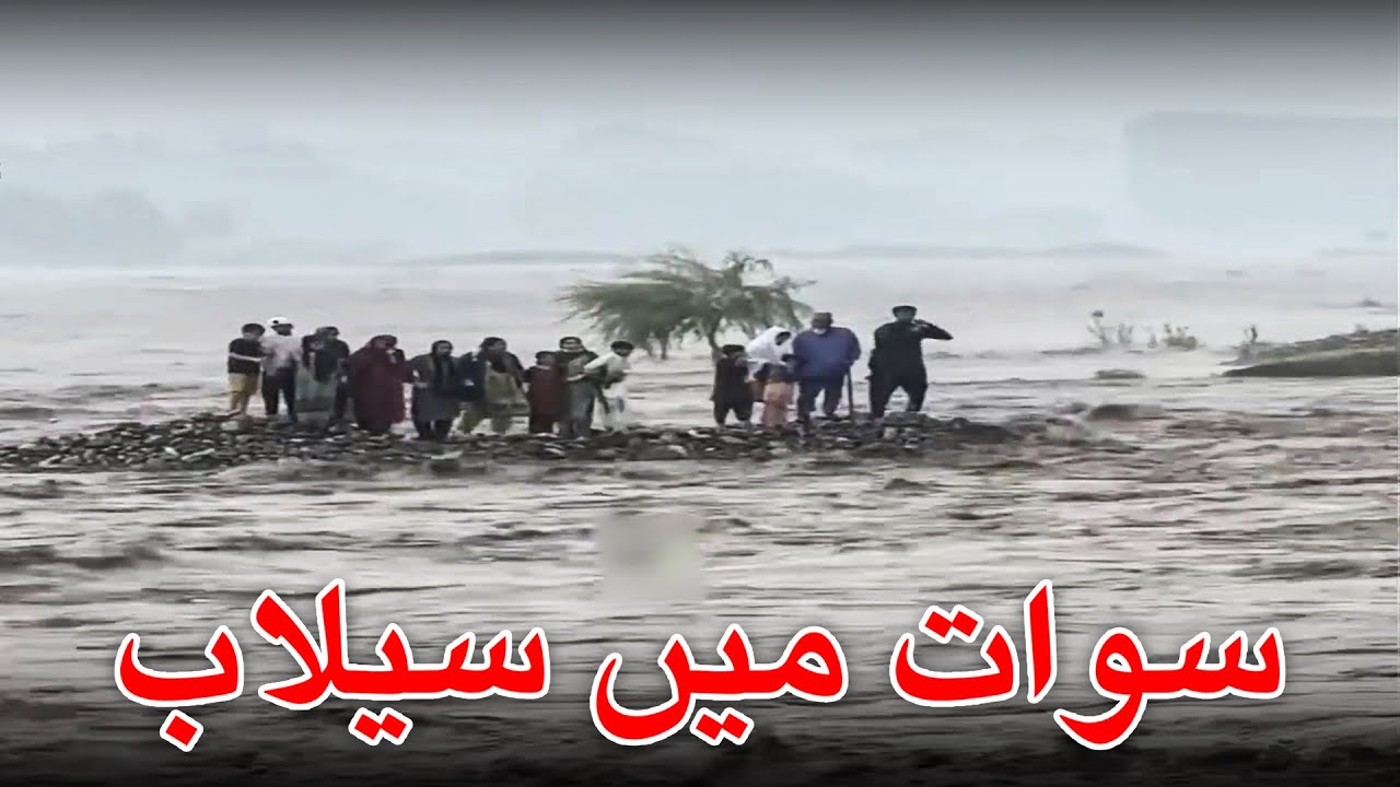 Swat Selab 2025 | Swat Flood 2025 | The Spot Times