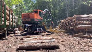 2022 Barko 595B Hydrostatic - Power Equipment Tennessee