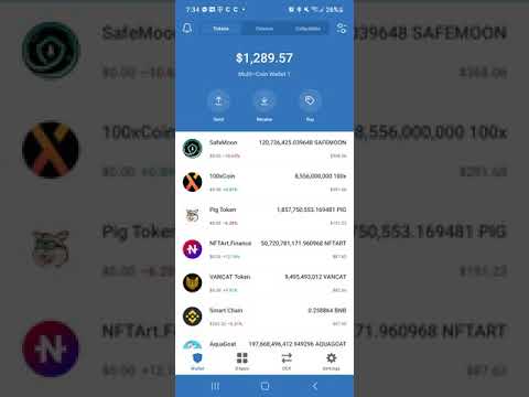 Add Custom ERC20