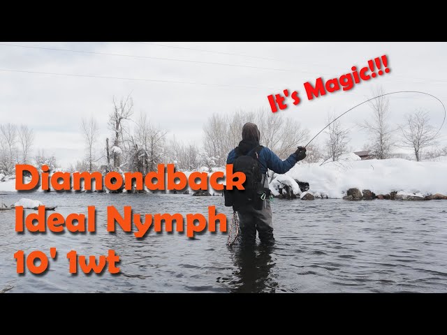 Diamondback Ideal Nymph 10' 1wt - Nymphing Up Winter Browns