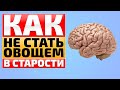 Даже в 100 лет ясность ума и активный мозг как в 20. Как не допустить разрушения памяти